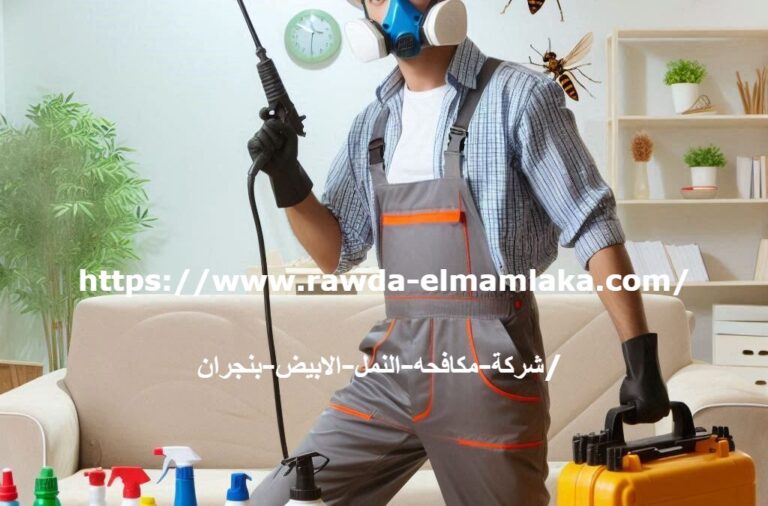 شركة مكافحه النمل الابيض بنجران