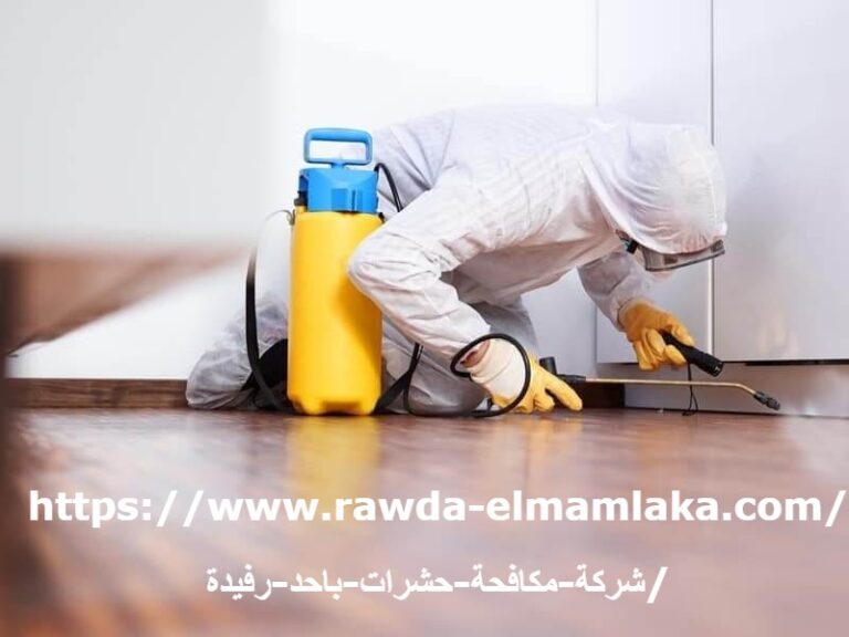 شركة مكافحة حشرات باحد رفيدة