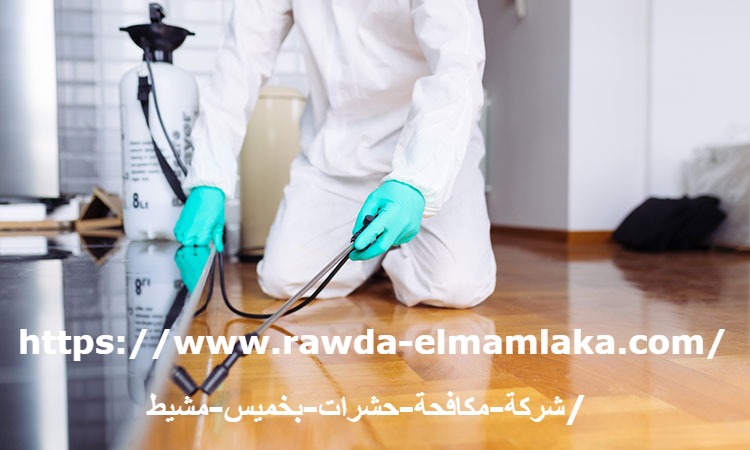 شركة مكافحة حشرات بخميس مشيط